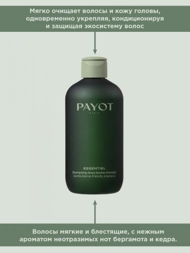 Пайо Деликатный шампунь, благоприятный для микробиома, 280 мл (Payot, Essentiel), фото-3
