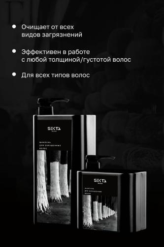 Шампунь для окрашенных волос, 500 мл (Regular), фото-3