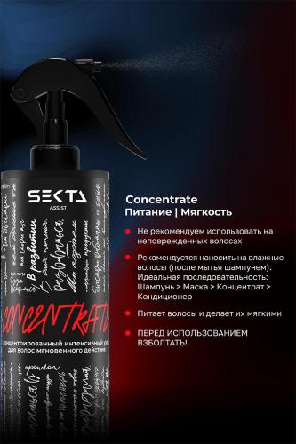 Секта Набор для интенсивного ухода за волосами, 2 концентрата х 200 мл (Sekta, Assist), фото-4
