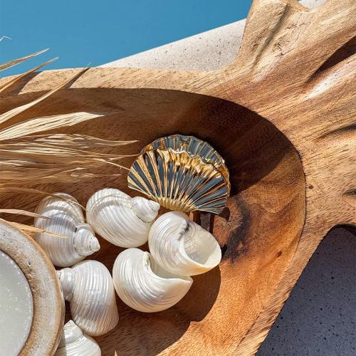 Инвизибабл Заколка-крабик Summer in Capri Riviera Glam, размер M (Invisibobble, Clipstar), фото-3