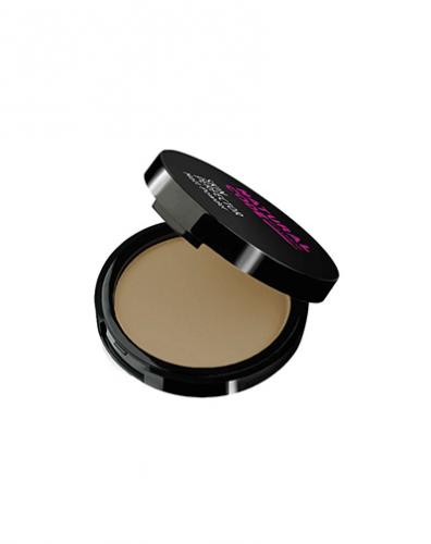 Компактная матирующая пудра Skin Perfector №14 Кофе, 10 мл ()
