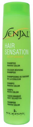 Восстанавливающий шампунь для окрашенных волос Senjal Shampoo Ravviv Color 300 мл (SENJAL), фото-3