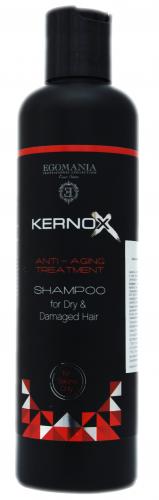 Шампунь для сухих и поврежденных волос 250 мл  (Kernox, Healthy), фото-2