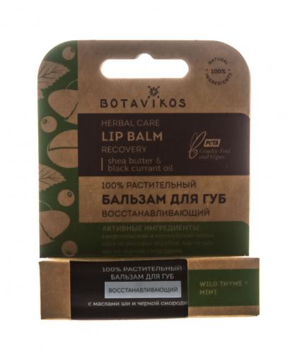 Ботавикос Восстанавливающий бальзам для губ с ароматом мяты и чабреца, 4 г (Botavikos, Для губ), фото-3