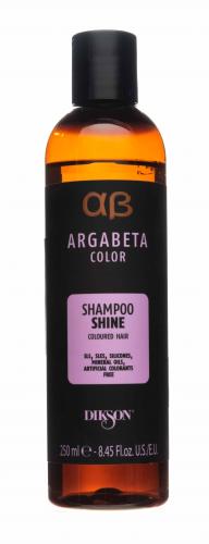Диксон Шампунь для окрашенных волос с маслами черной смородины, виноградных косточек и сладкого миндаля, 250 мл (Dikson, Argabeta, Shine), фото-2
