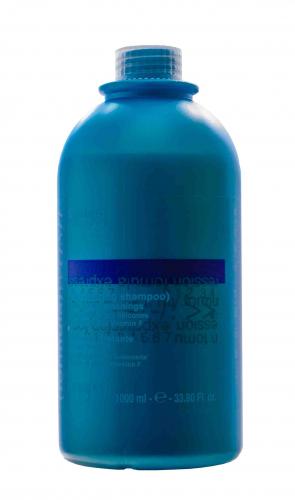 Диксон Увлажняющий шампунь для частого мытья Moisturizing Shampoo, 1000 мл (Dikson, Folrmula Wash), фото-2