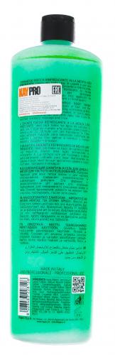 Шампунь и гель для душа с мятой, 1000 мл (Frequent Hair Care), фото-3