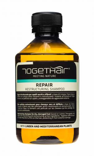 Ту Гет Хэйр Восстанавливающий шампунь для ломких и повреждённых волос 250 мл (Togethair, Repair), фото-2