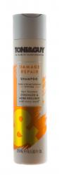 Шампунь Восстановление поврежденных волос Damage Repair Shampoo, 250 мл Шампунь Восстановление поврежденных волос Damage Repair Shampoo, 250 мл